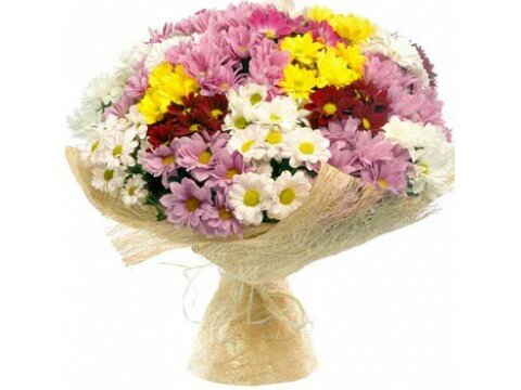 Букеты для женщин 25 разноцветных хризантем