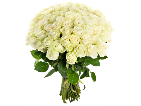 Букети для жінок 75 білих троянд