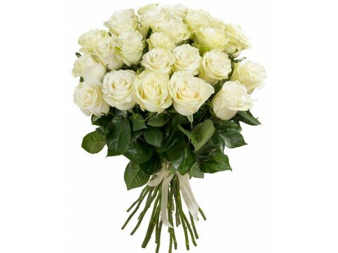 Букети для жінок 25 білих троянд