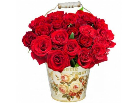 Bouquet of red roses in pots