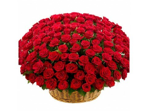 Букеты для женщин 301 красная роза