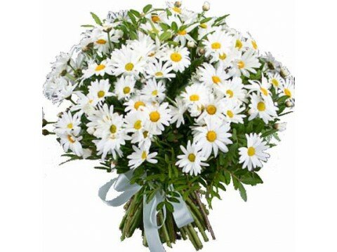 Bouquets for women 51 chamomile 