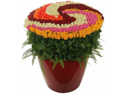 Букеты для женщин 555 разноцветных роз