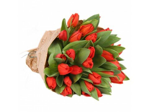 51 red tulips