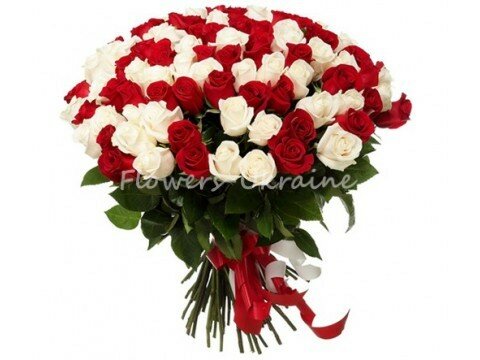 Букети для жінок 101 червона і біла троянда