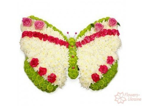 Хризантемы Цветочная бабочка