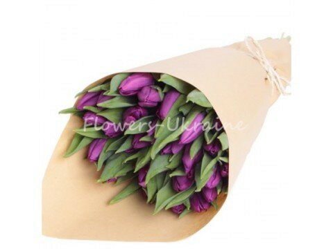 Bouquet is 25 violet tulips