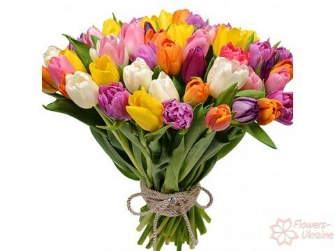 75 разноцветных тюльпанов