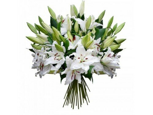 51 белая лилия 51 белая лилия